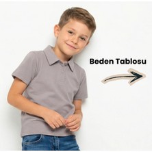 NR Nar Rengi %95 Pamuk Polo Yaka Basic Regular Fit Kompakt Okulluk Tshirt  ALV1185