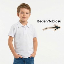 NR Nar Rengi %95 Pamuk Polo Yaka Basic Regular Fit Kompakt Okulluk Tshirt  ALV1185