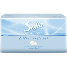 Sofia Skin Love Mendil 100'LÜ 3 Adet