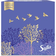 Sofia Küp Kutu Mendil 50'li 2 Adet