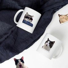 Urfakent Çılgın Kediler Macbook Notebook Tablet Telefon Ajanda Laptop Defter Sticker Seti