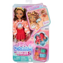 Barbie Dream Besties™ Paten Partisi™ Teresa Bebek ve Aksesuarları Eğlenceli Tasarım ile 1+ Yaş İçin