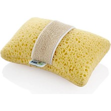 Urfakent Lastikli Bebek Yıkama Süngeri 752