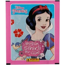 Urfakent Nessiworld Princess Çıkartma Kartları