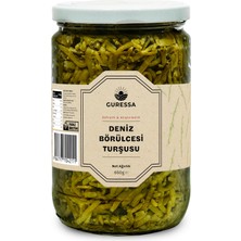 Guressa Deniz Börülcesi Turşusu 660 ml (Mezelik & Sofralık)
