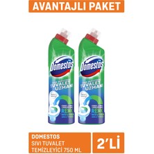 Domestos Sıvı Tuvalet Temizleyici 2 x 750 ml 3 Adet
