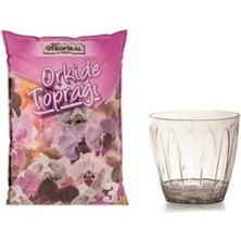 Poliva Home Orkide Saksı 3 Litre ve Kaliteli Orkide Toprağı