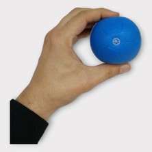 Fantastik Store Köpek Oyuncağı - Plastik Düdüklü Top - Mavi (Lisinya)