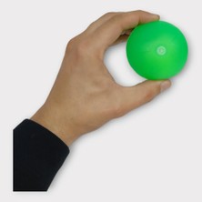 Fantastik Store Köpek Oyuncağı - Plastik Düdüklü Top - Yeşil (Lisinya)