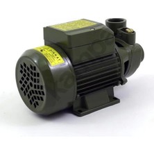 Fantastik Store Style QB60 0.5 Hp Elektrikli Su Dinamosu ( Lisinya )