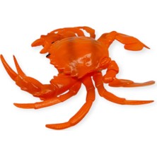 Fantastik Store Hayvan Figürleri - Deniz Hayvanları 13 cm - Yengeç (Lisinya)
