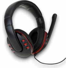 Fantastik Store Oyuncu Kulaklığı PG6960 - Lisinya