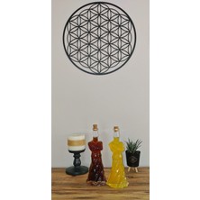 Fantastik Store Mevlana Rumi Yağdanlık - Sosluk - Sirkelik 250ML 2 Adet - Lisinya