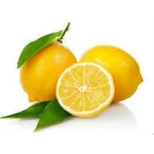 Fantastik Store Limon Bonesi / 250 Adet / Bitki Çayı Bonesi - Lisinya