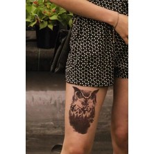 Caş Dekorasyon Baykuş Geçici Dövme Tattoo