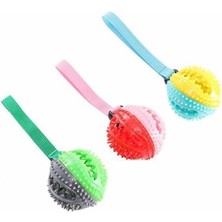 Braventa Collection Tutmalı Diş Kaşıyıcılı Köpek Oyun Topu 23 cm