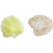 Braventa Collection Trina Sarı Ince Saç Filesi 72