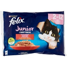 Braventa Collection Felix Junior Yavru Yaş Kedi Maması 85GR 4lü