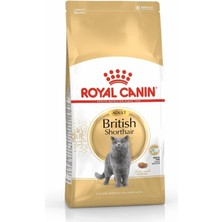 Braventa Collection Canin British Shorthair Adult Kedi Maması, 4 kg