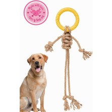 Braventa Collection Proud Wave Köpek Oyuncağı Renkli Çekiştirmeli Halat Pamuk - Köpek Isırma Kemirme Oyuncağı Top Diş Ip