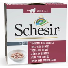 Braventa Collection Jelly Ton Balığı ve Sinarit Balığı Jöle Içinde Yetişkin Kedi Konservesi 85G