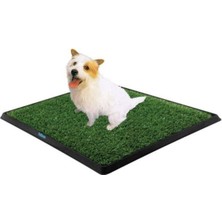 EkoAlışverişDünyam Köpek Tuvalet Eğitim Seti