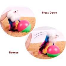 LTG Nova Kedi Hacıyatmaz Oyunu