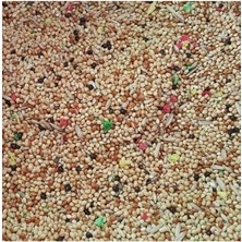 Braventa Collection Birdmozz Muhabbet Kuşu Yemi 1 kg