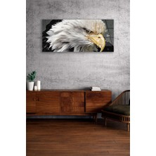 Olinpa Kırılmaz Cam Duvar Saati , Hem Tablo Hem Saat Kartal Portresi  Ev Ofis Hediyesi