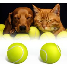 Braventa Collection Kanji 2'li Kedi Köpek Tenis Topu | 7.5 cm Orta Boy Dayanıklı Evcil Hayvan Oyuncağı | Diş Dostu, Suda