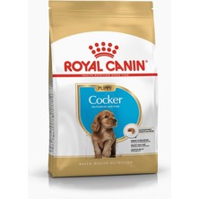 Braventa Collection Canin Cocker Kuru Köpek Maması, Yavru Köpek, 3 kg