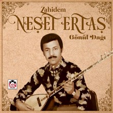 Braventa Collection Gereksiz Şeyler Neşet Ertaş Zahidem Gönül Dağı Plak