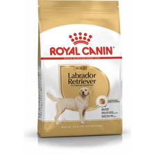 Braventa Collection Canin Labrador Retrıever Adultköpek Maması, 12 kg