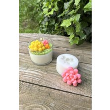 Braventa Collection Rufus Concept Obtusa Sukulent Mum Kalıbı (Silikon)