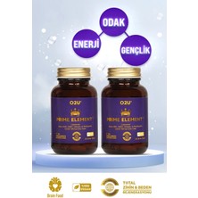 O2U Enerji, Odak ve Bağırsak Desteği | Yorgunluk & Zihin Sisi İçin Lipozomal 60 Dilaltı Tablet | Prime Element