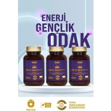 O2U Enerji, Odak ve Bağırsak Desteği | Yorgunluk & Zihin Sisi İçin Lipozomal 90 Dilaltı Tablet | Prime Element