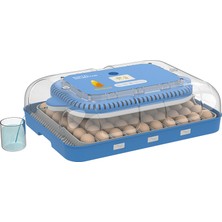 Altın Kuluçka 70 Yumurtalık Otomatik Kuluçka Makinesi