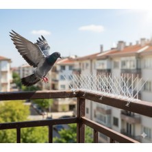 Expel Şeffaf 5 Metre 10 Adet Güvercin Kovucu Diken 50 cm Boyunda -Polikarbon Esnek Kırılmaz Dayanıklı