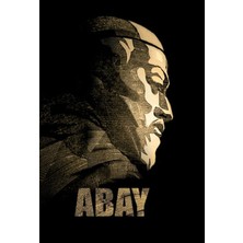 Türk Edebiyatı Vakfı Yayınları Abay