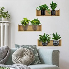 EkoAlışverişDünyam Raflı Bitki Tasarımlı Yapışkanlı Sticker 20*30 cm 3lü Set