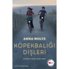 Can Çocuk Yayınları Köpekbalığı Dişleri