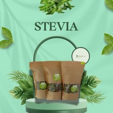 Stevia Türkiye Stevia Şeker  Otu Form Çayı 100 gr