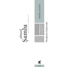 Ayrıntı Yayınları Bütün Şiirleri - Yüreğimin Kışlarında