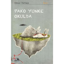 Nesin Yayınları Pako Yunke Okulda