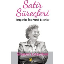 Beyaz Yayınları Satir Süreçleri