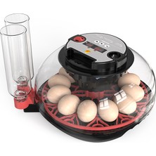 Altın Kuluçka 12LI Mini Kuluçka Makinesi-Full Otomatik Model