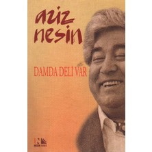 Nesin Yayınları Damda Deli Var