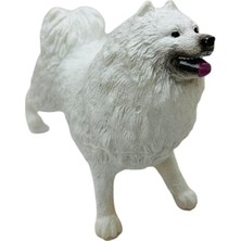 Najmaddin Soft Köpekler - Samoyed Cinsi Köpek  - E013