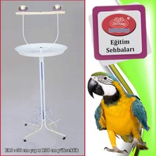 Snmswrld Dayang Papağan Eğitim Sehbası 56X138CM Beyaz