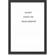 Mobilreyon 4 Adet A4 Kağıdı Ölçüsü Plastik Siyah Renk Belge Çerçevesi 21X30 cm Şeffaf Pvc'li Çerçeve
